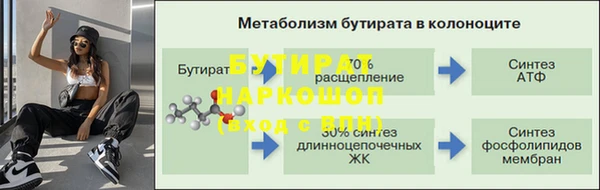 крисы Зерноград