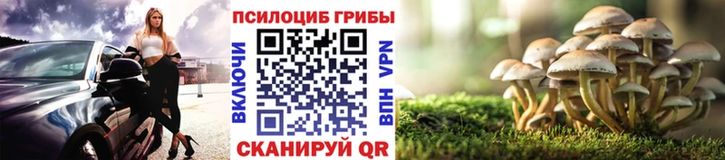 Псилоцибиновые грибы мицелий  KRAKEN ССЫЛКА  Калачинск 